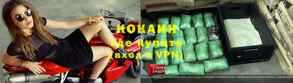 прущие крисы Арсеньев